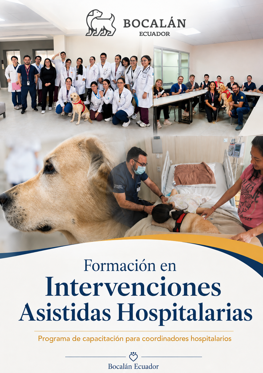 IAA Hospitalarias