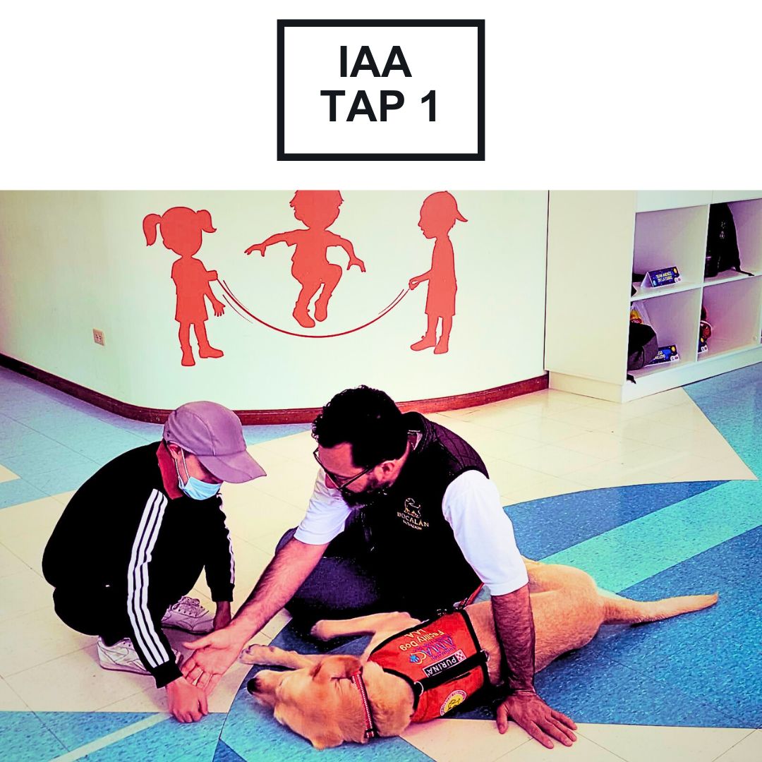 Course Image Intervenciones Asistidas con Animales IAA, terapia asistida con perros TAP Avanzado 1	