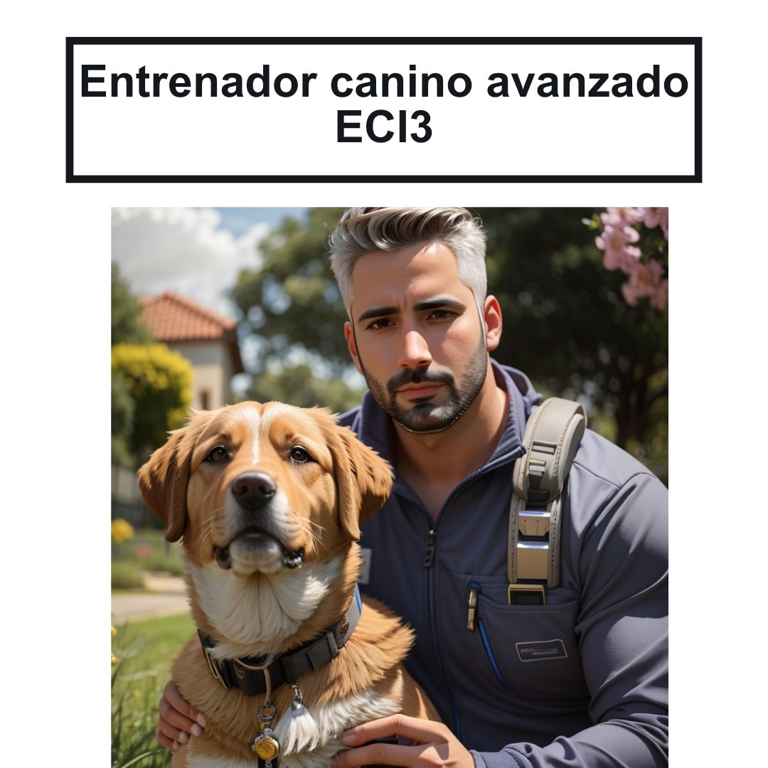Course Image Entrenamiento canino intermedio 3	